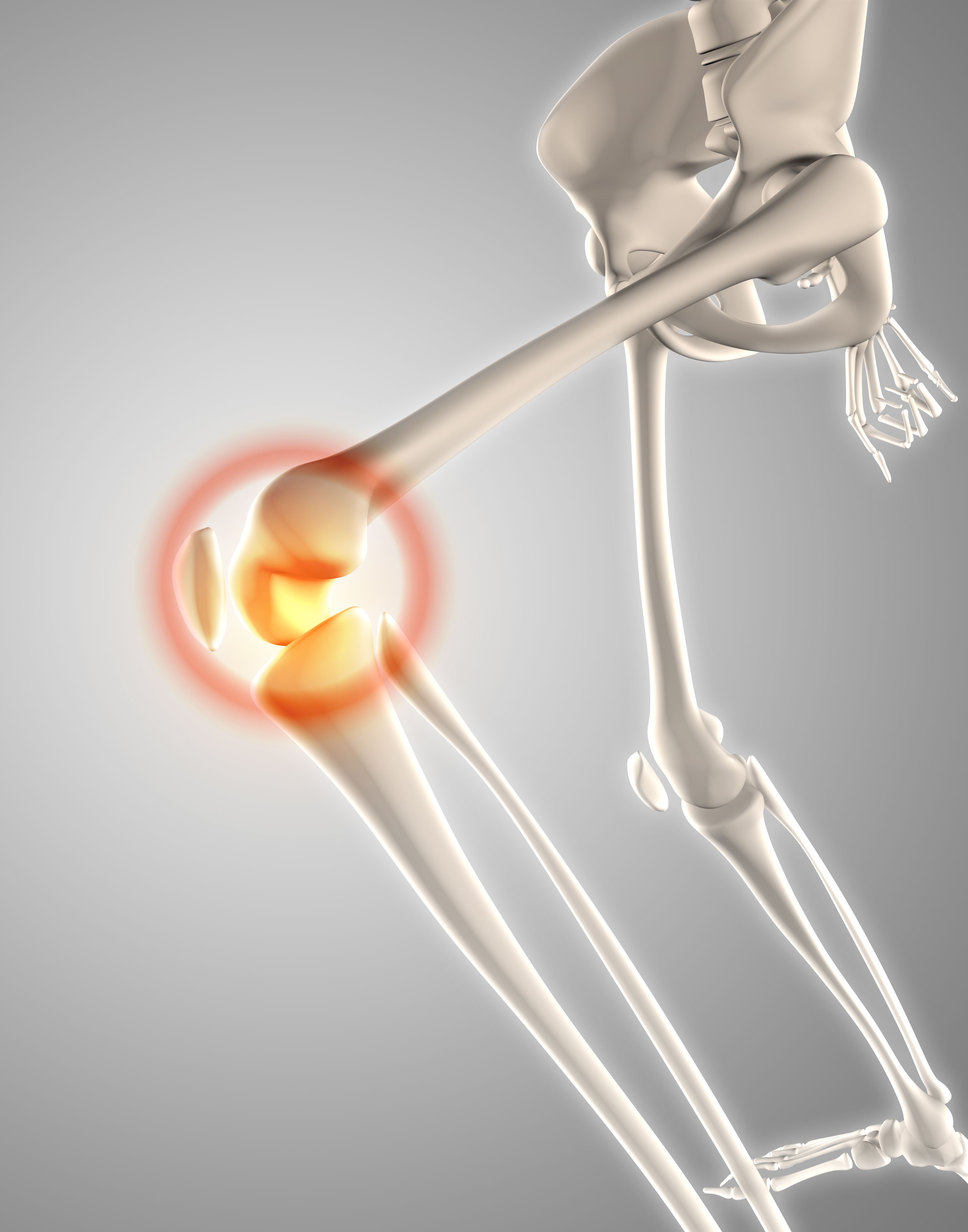 Knee Anatomy Diagram